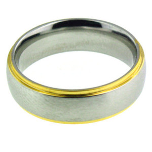 Stainless Steel with Gold trim